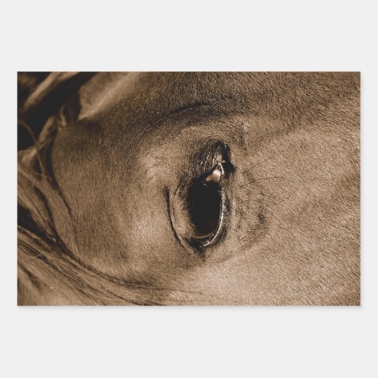 PaardenWesterne Rustische  ontkoppeling Inpakpapier Vel (Voorkant)