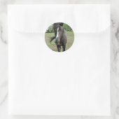 paardeverf ronde sticker (Tas)