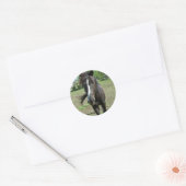 paardeverf ronde sticker (Envelop)