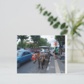 Paardrijden bij Bali Briefkaart (Staand voorkant)