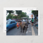 Paardrijden bij Bali Briefkaart (Voorkant / Achterkant)