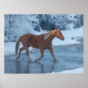 Paardrijden in de winter op Hideout Ranc Poster