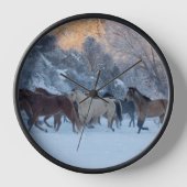 Paardrijden in de winter op Hideout Ranch (Voorkant)