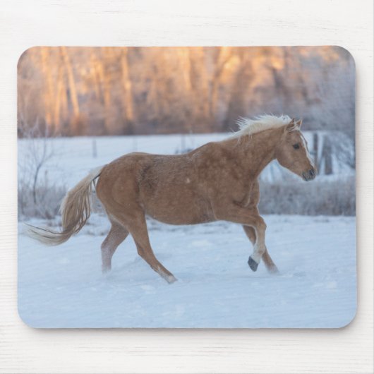 Paardrijden in de winter op Hideout Ranch Muismat (Voorkant)