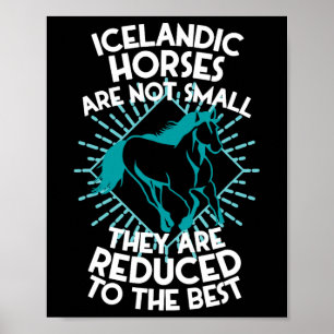 Paardrijden - Paardrijden Paarden IJslandse Ho Poster