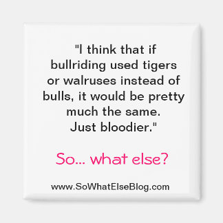 paardrijmagneet magneet