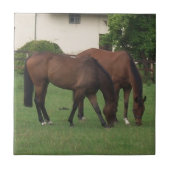 Paardse fotografie tegeltje (Voorkant)