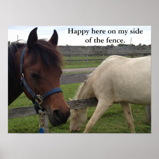 Paardse Humor: Happy here on my side of the Fence Poster (Voorkant)