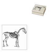 paardskeletzegel 	rubberstempel (Gestempeld)