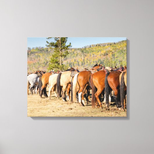 paardstippen canvas afdruk (Voorkant)
