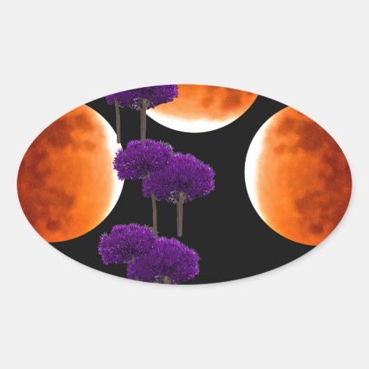 Paars binnendringen ovale sticker (Voorkant)