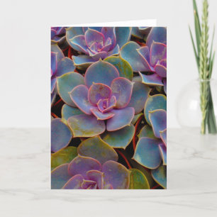 Paars blauw blauw-groen Succulent Cactus Plant Kaart