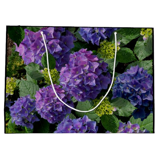 Paars-blauw-buikhydrangea Groot Cadeauzakje (Achterkant)