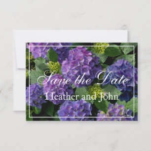 Paars-blauw-buikhydrangea Save The Date