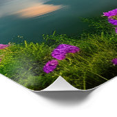 Paars bloemen Draad en meer Perfect Poster (Hoek)