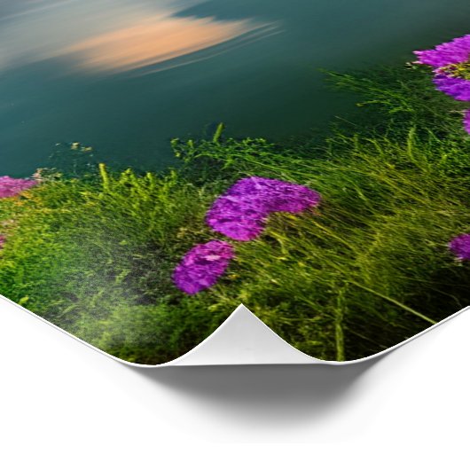 Paars bloemen Draad en meer Perfect Poster (Hoek)