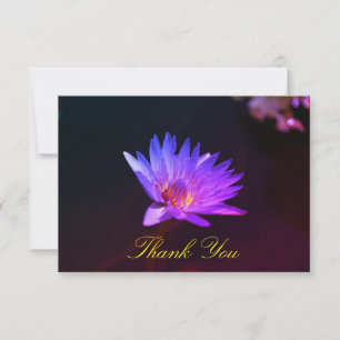 Paars Blue Water Lily Plant Dank je platte Kaart