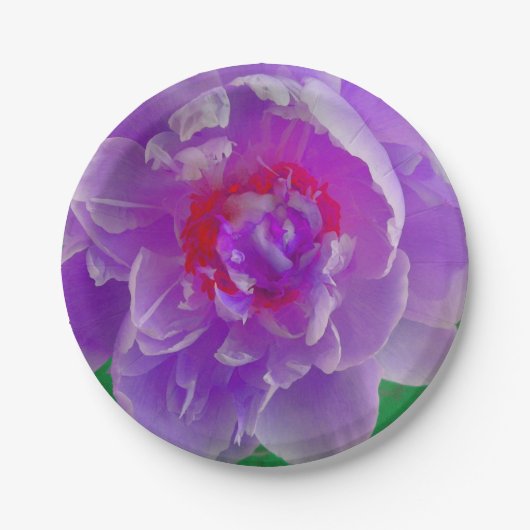 Paars Bord Peony (Voorkant)