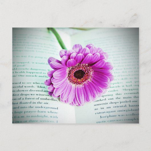 Paars  Briefkaart (Voorkant)