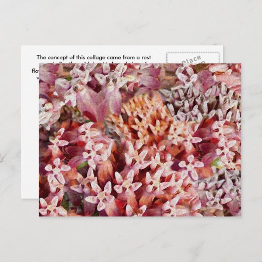 Paars Briefkaart (Voorkant / Achterkant)