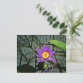Paars Briefkaart Tropisch Water Lily (Staand voorkant)