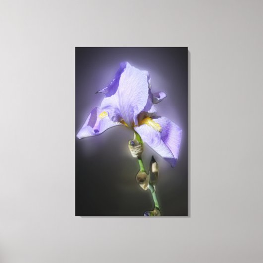 paars canvas afdruk (Voorkant)
