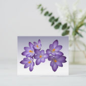 Paars Crocus Briefkaart (Staand voorkant)