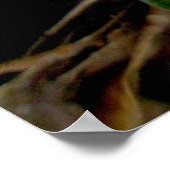 Paars Crocus Poster (Hoek)