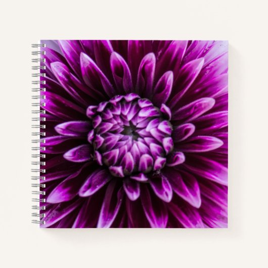 Paars Dahlia Heart Notitieboek (Voorkant)