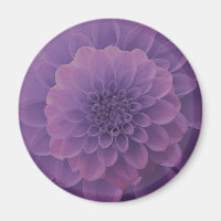 Paars Dahlia
