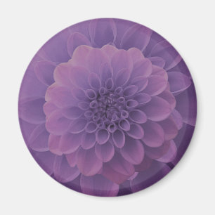Paars Dahlia Magneet