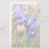 Paars Dwarf Iris Floral gelinkt papier (Voorkant / Achterkant)