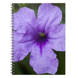 Paars Dwarf Mexican Petunia Notitieboek