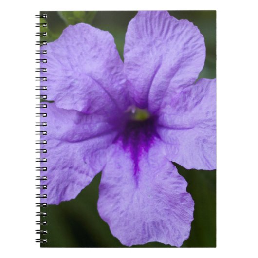 Paars Dwarf Mexican Petunia Notitieboek (Voorkant)