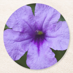 Paars Dwarf Mexican Petunia Ronde Kartonnen Onderzetter