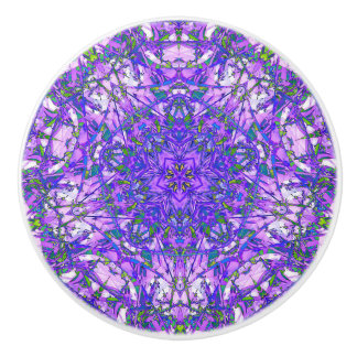 Paars en groen Abstract Keramische Knop