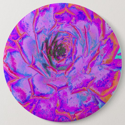 Paars en magenta Succulent Sedum Rosette Ronde Button 6,0 Cm (Voorkant)