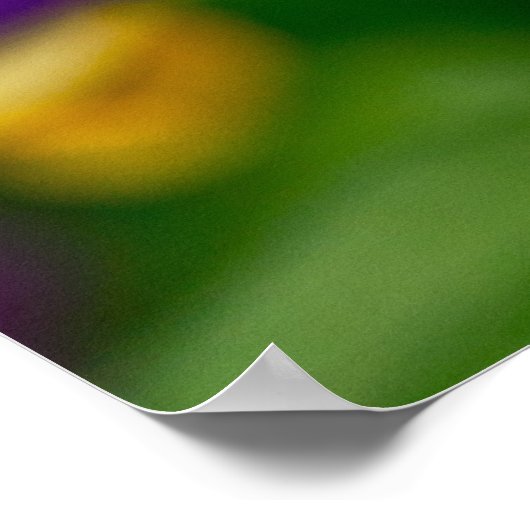 Paars en Oranje Sorbet Pansy Poster (Hoek)