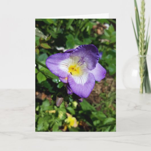 Paars Freesia Flowers Kaart (Voorkant)