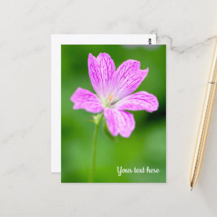 Paars Geranium Briefkaart