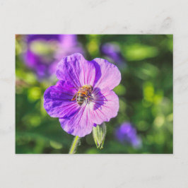Paars Geranium met honingbijen Briefkaart