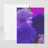 Paars Gerbera Daisy Flower Photo Art Briefkaart (Voorkant / Achterkant)