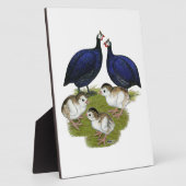 Paars-Guinea Fotoplaat (Zijkant)