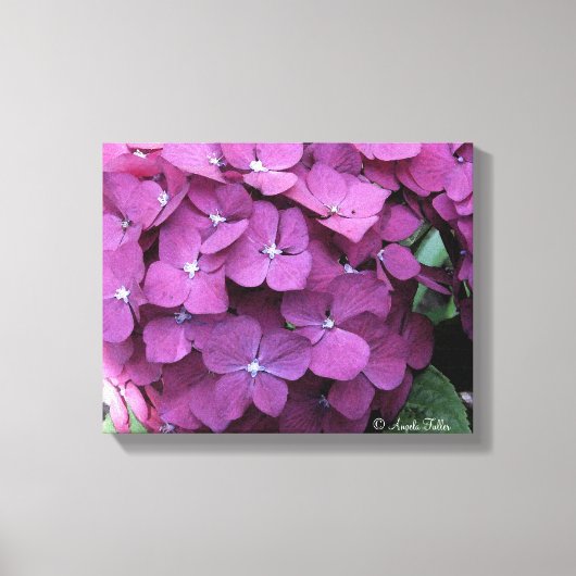 Paars Hydrangea Blooms Canvas Afdruk (Voorkant)