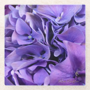 Paars Hydrangea Glass Onderzetter