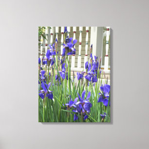 Paars Iris Afbeelding Canvas Afdruk