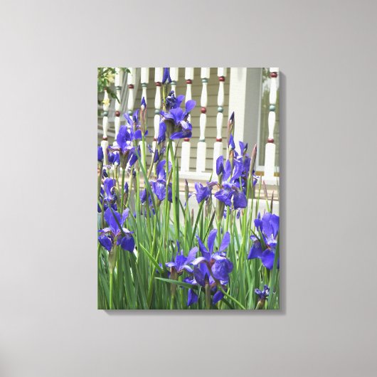 Paars Iris Afbeelding Canvas Afdruk (Voorkant)