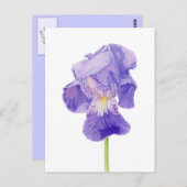 Paars Iris Briefkaart (Voorkant / Achterkant)