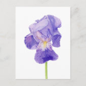 Paars Iris Briefkaart (Voorkant)