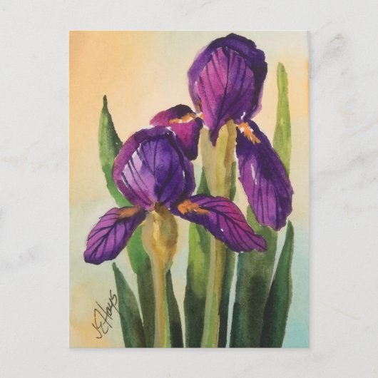 Paars Iris Briefkaart (Voorkant)